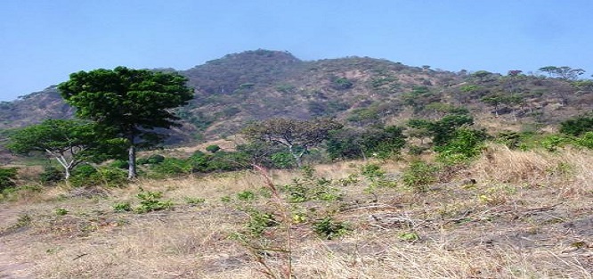 mony Ngaoundal