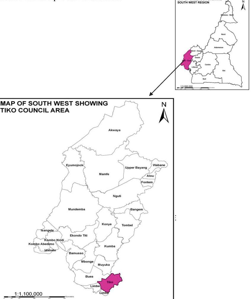 Carte de Tiko