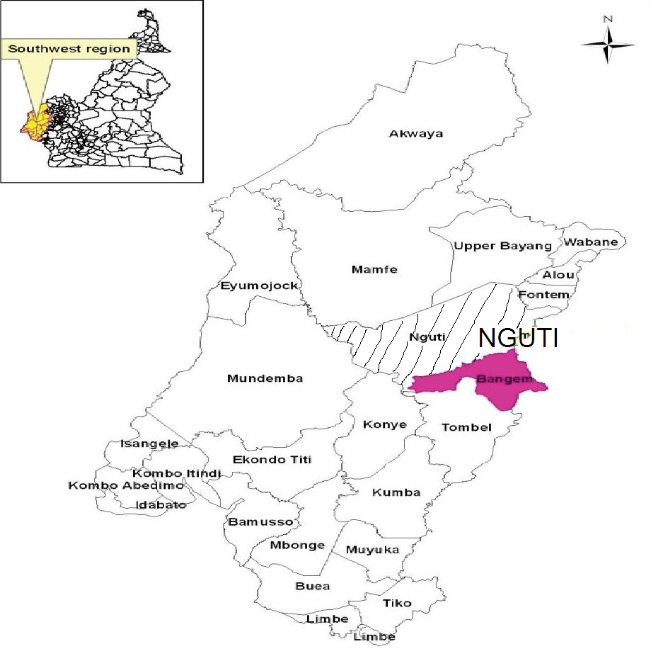 carte de Nguti