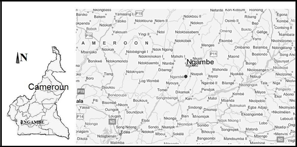 carte de Ngambè